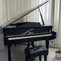 پیانو گرند مدل کاسیو|پیانو، کیبورد، آکاردئون|بوشهر, |دیوار