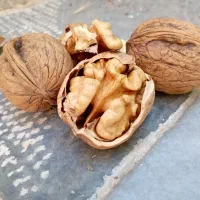 گردو چرب خوانسار