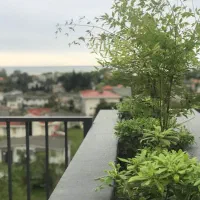 اجاره واحد ویلایی مستقل