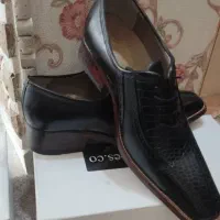 فروش کفش چرم|کیف، کفش، کمربند|پرند, فاز ۶|دیوار