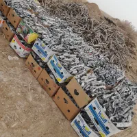 ذغال پسته کبابی،قلیانی.کارتنی،بسته بندی.پیک رایگان