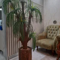 درخت مصنوعی نخل سوزنی