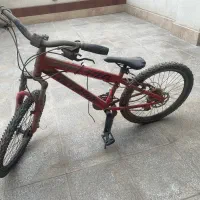 دو عدد دوچرخه