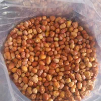 سنجد|خوردنی و آشامیدنی|شاهین دژ, |دیوار