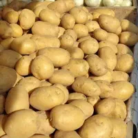 فروشنده خانم نیمه وقت|استخدام خدمات فروشگاه و رستوران|لاهیجان, لیالستان|دیوار