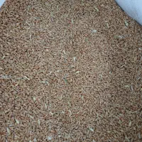 گندم بزری درجه یک|خوردنی و آشامیدنی|بشاریات, |دیوار