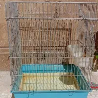 قفس  برای تمام پردگان