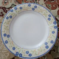 یک دست کامل بشقاب پلو خوری با گل های آبی زیبا