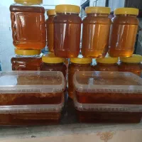 عسل گون|خوردنی و آشامیدنی|قم, آزادگان|دیوار