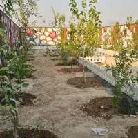 باغچه سند تک برگ معاوضه با خودرو|فروش زمین و ملک کلنگی|تهران, یافت آباد جنوبی|دیوار