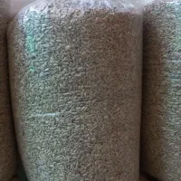 مغز تخمه افتابگردان