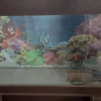 اکواریوم بزرگ