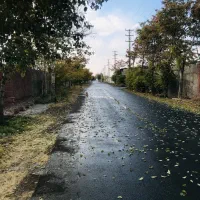 زمین-173-متر-اسماعیل-آباد-شورقلعه-پایین