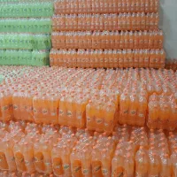 نوشابه پالیک کولا خانواده وکوچک