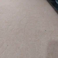 موکت معمولی ۵۵ متر