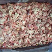 سنگدان منجمد