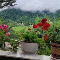 اجاره روزانه/هفتگی/ماهانه ویلا ۱۱۰ متری|اجارهٔ کوتاه‌مدت ویلا و باغ|ماسال, |دیوار