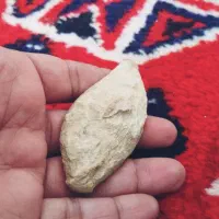 فسیل بی نظیری از ماهی|کلکسیون اشیاء عتیقه|تهران, استاد معین|دیوار