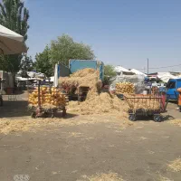 مغازه در میدان میوه و تره بار خوی حجره ۶۲