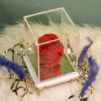 باکس گل جاودان مدل پینار|گل و گیاه طبیعی|تهران, دولاب|دیوار