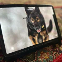 تبلت سامسونگ S8 مهندسی و گیمینگ همراه با قلم