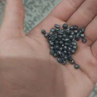 کاسی ماهیگیری|ماهیگیری|آستانه اشرفیه, |دیوار