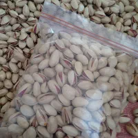 پسته تمام خندان و خام (مستقیم از باغدار /ارزان)|خوردنی و آشامیدنی|مشهد, احمدآباد|دیوار