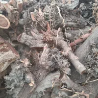 کنده شومینه ای و توتی|بخاری، هیتر، شومینه|مهریز, |دیوار