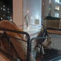 یخچال سالم بشرط معاوضه و ارسال هم دارم