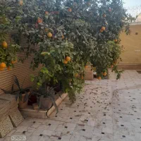 سوئیت ۷۰ متری ،امیر کبیر ، کوچه جمال راه جدا|اجارهٔ آپارتمان|کاشان, امیرکبیر|دیوار