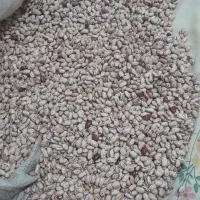 200 کیلو لوبیا چیتی تازه گشت امسال خوش پخت تمیز|خوردنی و آشامیدنی|باقرشهر, |دیوار