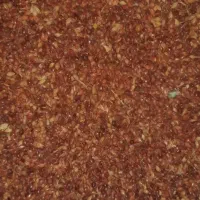 تخم جارو محل اگهی میاندواب