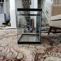 آکواریوم شیشه خام|ماهی|سنندج, |دیوار
