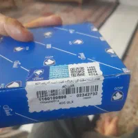 هرزگرد پژو