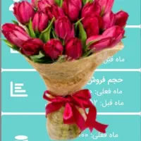 راه سرمایه گذاری اینده مخصوص خانم ها|خدمات آموزشی|گرگان, |دیوار