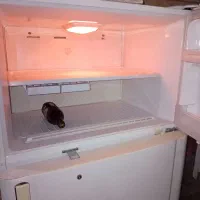 یخچال دوو اصل|یخچال و فریزر|مشهد, شهرک مهرگان|دیوار