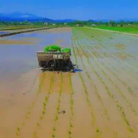 نشاکاری بادستگاه نشاه