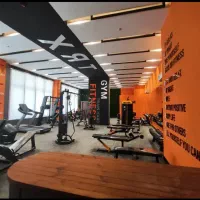 مجتمع لوتوس  قابل تبدیل