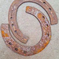 نئل اسب نعل