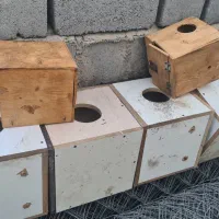 فروش لانه عروس هلندی