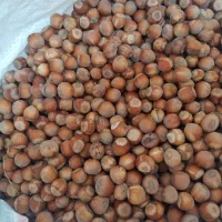 فندق آفتاب خشک