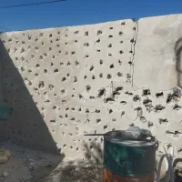 دریل تخریب جعفری