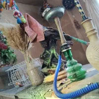 بلدرچین خواندنی