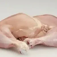 استخدام نیروی کار ماهر و ساده|استخدام خدمات فروشگاه و رستوران|صدرا-فارس, فاز ۱|دیوار