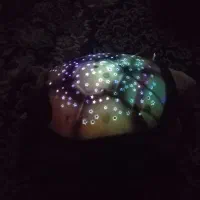 کلیه لوازم منزل بفروش می‌رسد