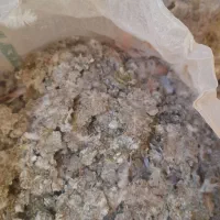 ذیل‌کبوتر‌تر‌تمیز‌خشک‌