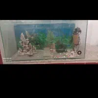 سلام. فروش آکواریوم با وسایل و منقل  سنگی