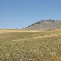 فروش زمین کشاورزی دیم در روستای هزارخانی علیا