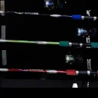 لنسر ماهیگیری با قیمت اقتصادی