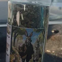 یونجه|لوازم جانبی حیوانات|کرج, عظیمیه|دیوار